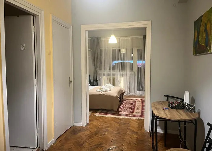 Comfortable Downtown Flat